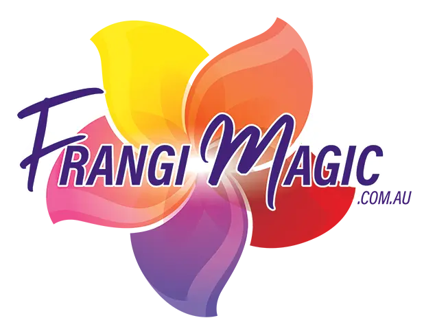 Frangi Magic
